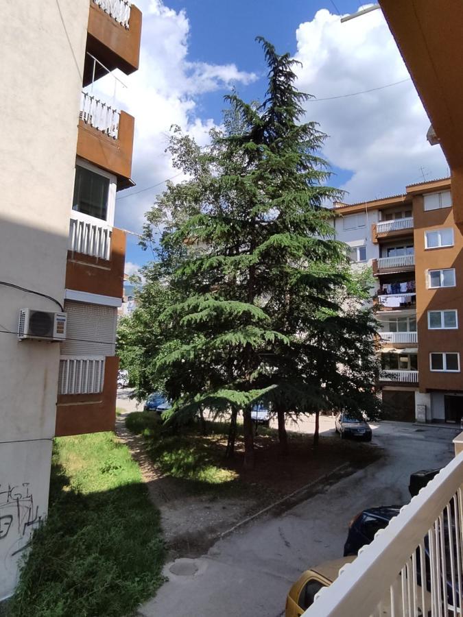 Marko'S Apartment Ohrid Exterior foto
